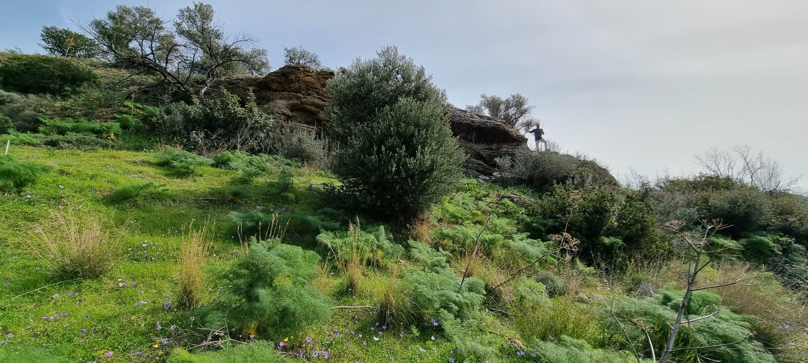 The Lino Cambi estate above the Libyan Sea, South Crete